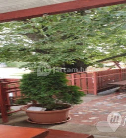 Erdei Büfé, Italozó