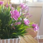 Erdei Falatozó Pátyod - Belső