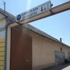 Eredet Pince Soltvadkert - Egyéb