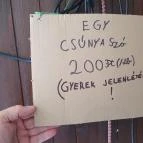 Eredet Pince Soltvadkert - Egyéb