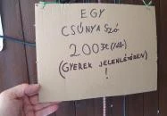 Eredet Pince Soltvadkert