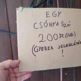 Eredet Pince Soltvadkert - Egyéb