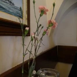 Erhardt Étterem & Borpince Sopron - Belső