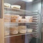 Erhardt Pékség Sopron - Egyéb