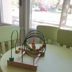 Erika Cukrászda Mezőhegyes - Egyéb