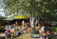 Értékmegőrző Büfé - Tóbíró strand Velence