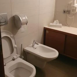 Erzsébet Nagy Szálloda, Paks - Egyéb