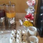 Erzsébet Nagy Szálloda Paks - Egyéb