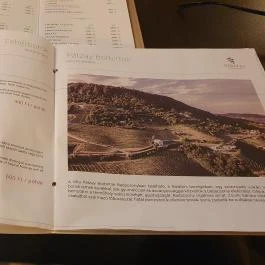 Erzsébet Sörkert, Gödöllő - Egyéb