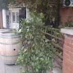 Essence Delicates Budapest - Egyéb