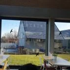 Etyeki Kúria Etyek - Egyéb