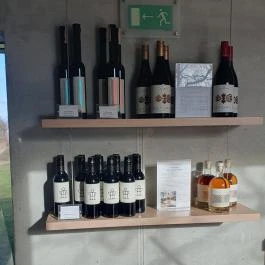 Etyeki Kúria Etyek - Egyéb