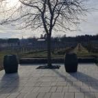 Etyeki Kúria Etyek - Egyéb