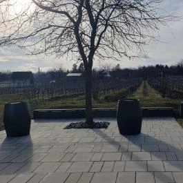 Etyeki Kúria Etyek - Egyéb