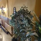 Etyeki Presszó Etyek - Belső