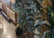 Etyeki Presszó Etyek