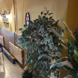 Etyeki Presszó, Etyek - Belső