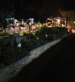 Európa Centruma Pinceborozó