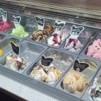 FagyiOázis Balatonkenese - Egyéb