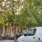 Faház Söröző Gyúró - Külső kép