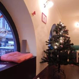 Fánkterápia, Budapest - Belső