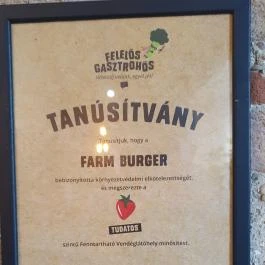 Farm Burger Vác Vác - Egyéb