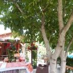 Farm Inn Fogadó Étterem Zalacsány - Külső kép