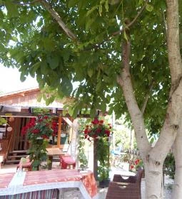 Farm Inn Fogadó Étterem