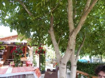 Farm Inn Fogadó Étterem Zalacsány