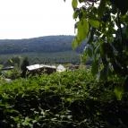 Farm Inn Fogadó Étterem Zalacsány - Külső kép