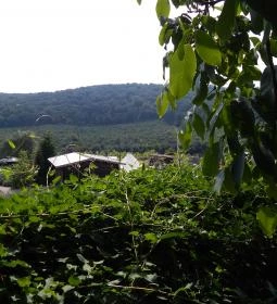 Farm Inn Fogadó Étterem