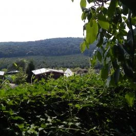 Farm Inn Fogadó Étterem Zalacsány - Külső kép