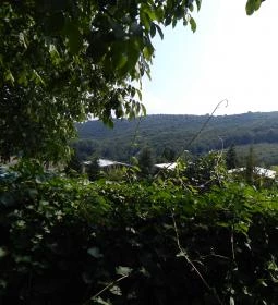 Farm Inn Fogadó Étterem