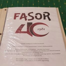 Fasor Étterem Szeged - Egyéb