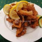 Fasor Étterem Szeged - Egyéb