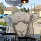 Fekete Bárány Kávéház & Konyha Szeged - Egyéb