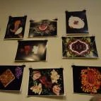 Fekete Kutya Budapest - Egyéb