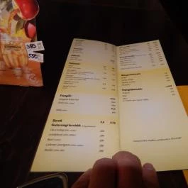 Fekvő Katona Söröző & Kávézó, Székesfehérvár - Étlap/itallap