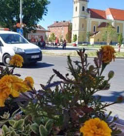 Félegyházi Piknikség