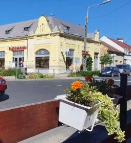 Félegyházi Piknikség