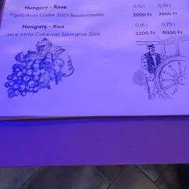 FELIX Wine Bar Balatonfüred - Egyéb