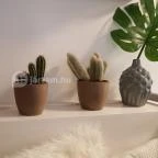 Ficak Bisztró Budapest - Belső