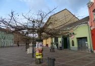 Flamingó Bár Esztergom