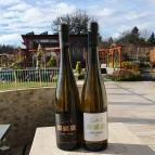 Flamingó Borház Etyek - Étel/ital