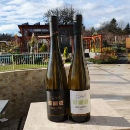 Flamingó Borház Etyek - Étel/ital