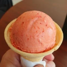 Florenzo Fagylaltozó Tiszakécske - Egyéb