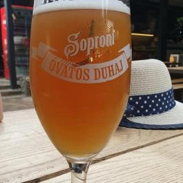 Fogas Bisztró, Alsóörs - Egyéb