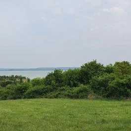 Folly Borászat Badacsonyörs - Egyéb