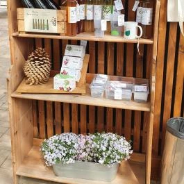 Folly Borászat Badacsonyörs - Egyéb