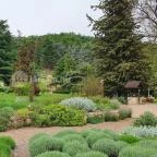 Folly Borászat Badacsonyörs - Egyéb